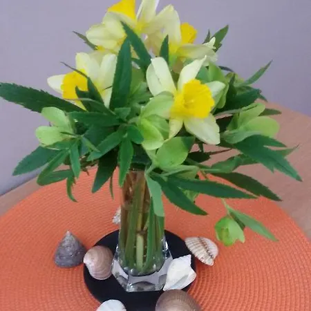 Rale ゲストハウス Lukavica